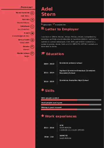 Self Employed resume example